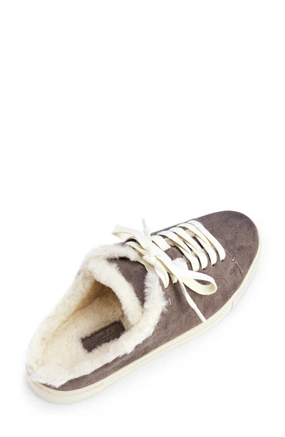 Shop Frye Ivy Genuine Shearling Sneaker Mule (women In Medium Grey Suede Leather