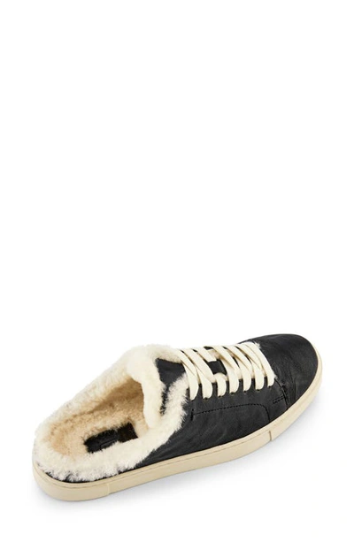 Shop Frye Ivy Genuine Shearling Sneaker Mule In Black - Oyster Leather