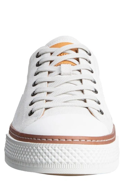 Shop Allen Edmonds Pasadena Sneaker In Off White