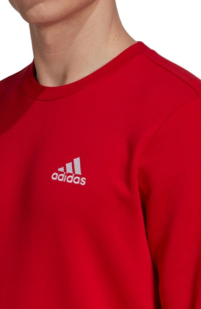 Shop Adidas Originals Feel Cozy Sweatshirt In Scarlet/ White