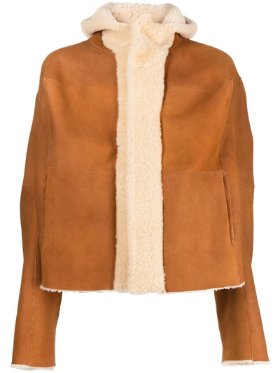 Shop Natasha Zinko Shearling Bunnies Jacket In Brown