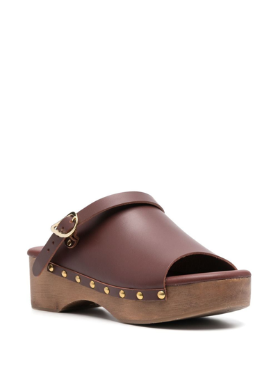 Ancient Greek Sandals Buckled Leather Clogs In Brown