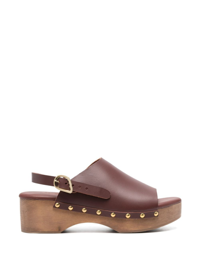 Ancient Greek Sandals Buckled Leather Clogs In Brown