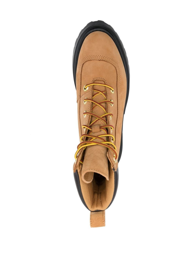 Shop Timberland Sky 6in Laceup 140mm Boots In Braun