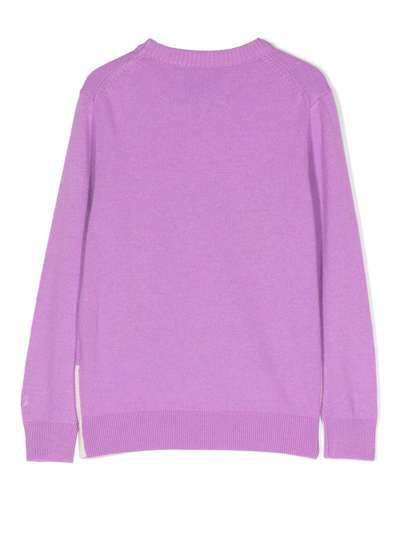 Mc2 Saint Barth Intarsia-knit Jumper In Purple
