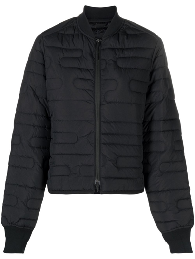 Shop Y-3 Padded Quilted Bomber Jacket In Black