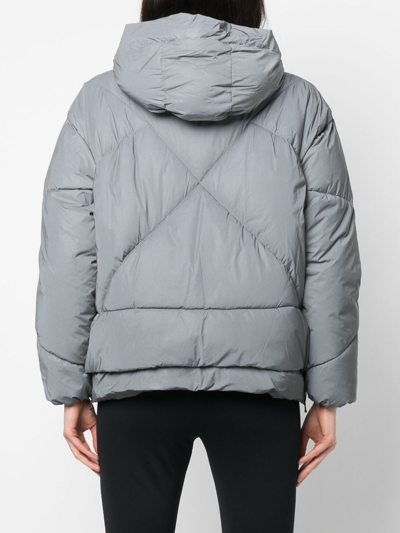 Shop Canadian Club Hooded Padded Jacket In Grau