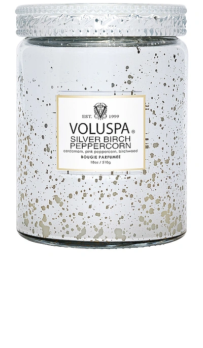 Voluspa Silver Birch Peppercorn Large Jar Candle In Silver Birch Peppercorn