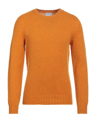 Shop Scaglione Sweaters In Orange