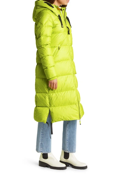 Shop Parajumpers Panda Hooded Down Puffer Parka In Citronelle