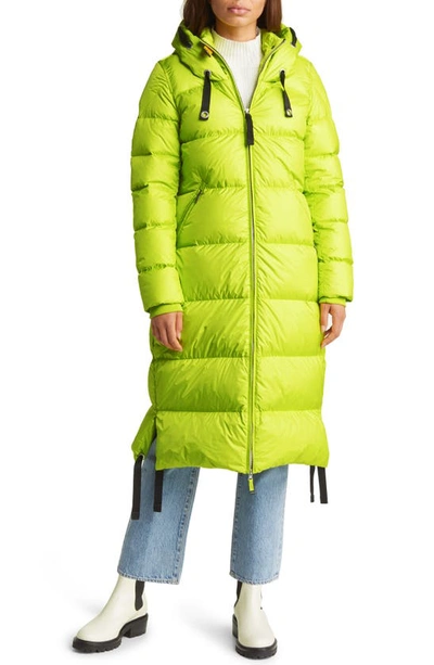 Shop Parajumpers Panda Hooded Down Puffer Parka In Citronelle
