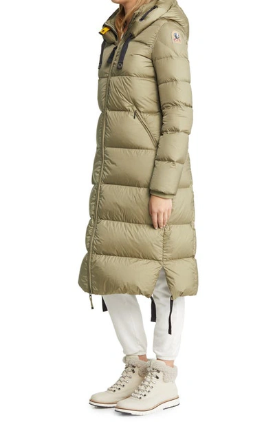 Shop Parajumpers Panda Hooded Down Puffer Parka In Dried Herb