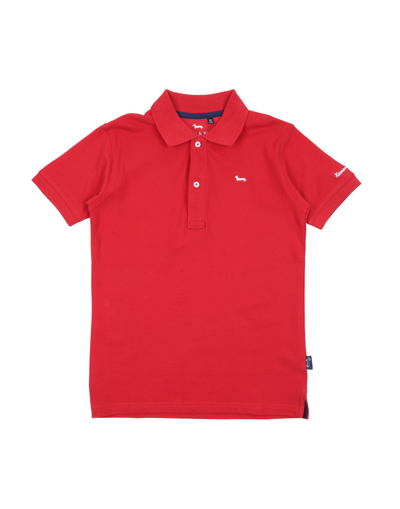 Shop Harmont & Blaine Man Polo Shirt Red Size 16 Cotton