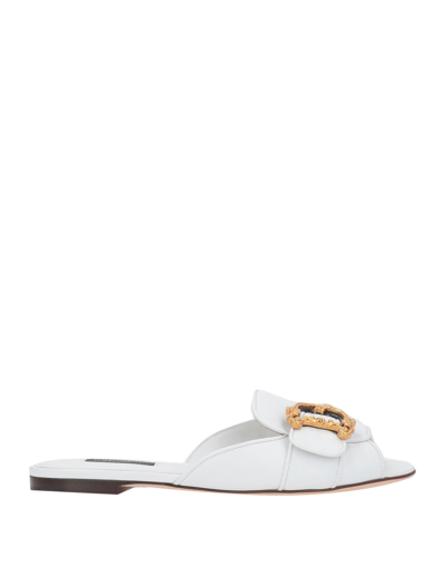 Shop Dolce & Gabbana Woman Sandals White Size 5.5 Lambskin