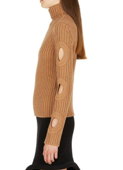 Shop Jw Anderson Cut-out Detailed High-neck Jumper In Brown
