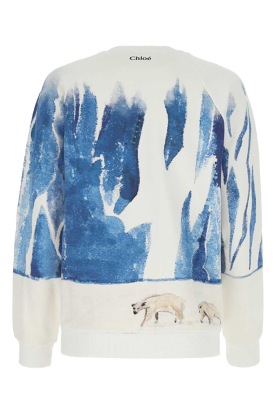 Shop Chloé Polar Bear Printed Sweatshirt In Grigio