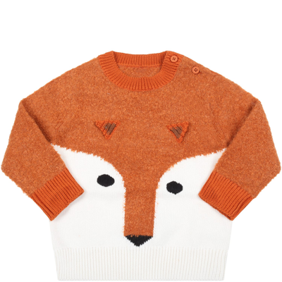 Shop Stella Mccartney Multicolor Sweater For Baby Boy With Fox