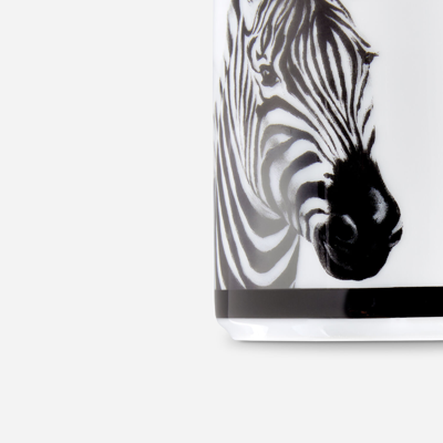 Dolce & Gabbana Porcelain Mug In Multicolor