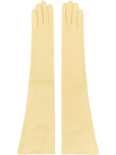 Shop Jil Sander Long Gloves. In Ocra