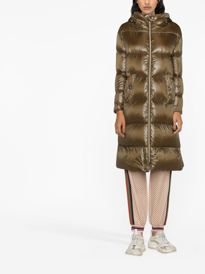 Herno Quilted Padded Zipped Coat In Grün
