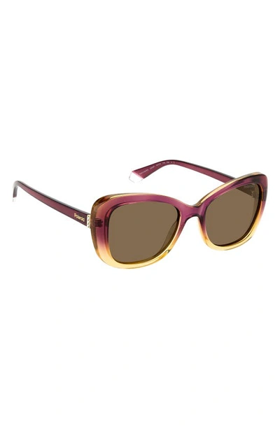 Shop Polaroid 53mm Polarized Cat Eye Sunglasses In Violet Beige/ Bronze Polarized