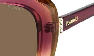 Shop Polaroid 53mm Polarized Cat Eye Sunglasses In Violet Beige/ Bronze Polarized
