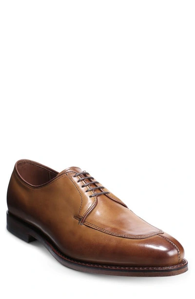 Shop Allen Edmonds Delray Blucher Derby In Walnut