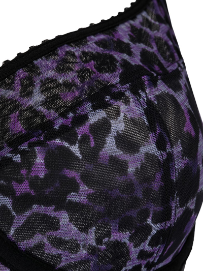 Shop Marlies Dekkers Peekaboo Leopard-print Balcony Bra In Purple