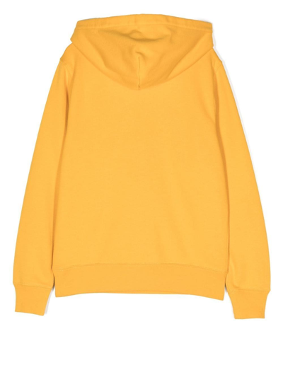 Shop Ralph Lauren Embroidered-logo Pullover Hoodie In Yellow