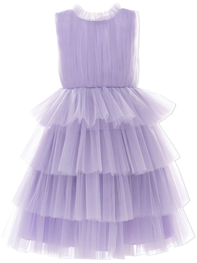 Shop Tulleen Farvue Tiered Tulle Dress In Purple