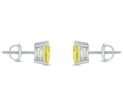 Pre-owned Shine Brite With A Diamond 5.5 Ct Princess Cut Canary Earrings Studs Solid 18k White Gold Screw Back Basket
