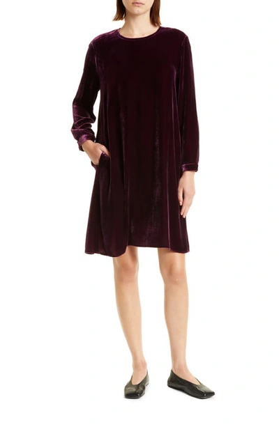 Shop Eileen Fisher Long Sleeve Velvet Shift Dress In Sweet Plum