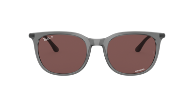 Ray Ban Ray In Dark Violet