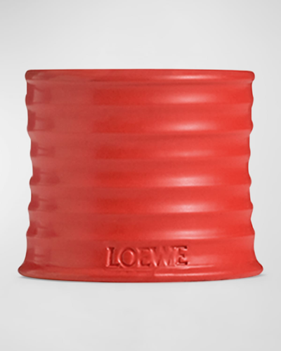 Shop Loewe 5.8 Oz. Small Tomato Leaves Candle