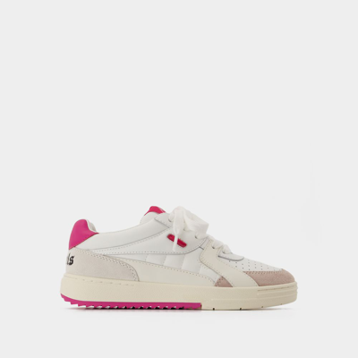 Shop Palm Angels Palm University Sneakers -  - Leather -white/pink