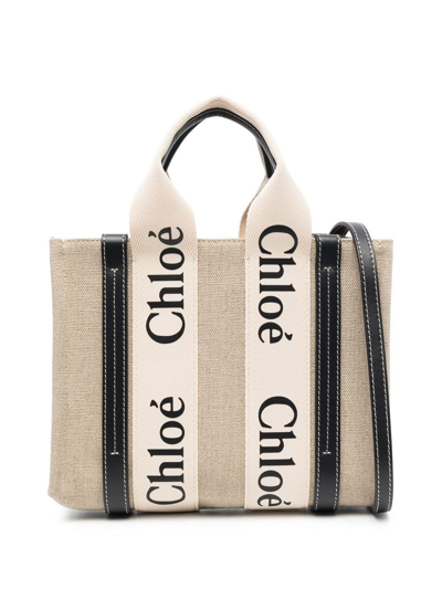 Chloé Chloe Multicolor Fabric Small Woody Shopping Bag In Multi