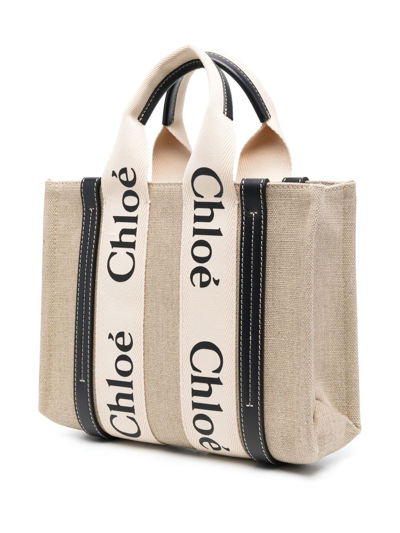 Chloé Chloe Multicolor Fabric Small Woody Shopping Bag In Multi