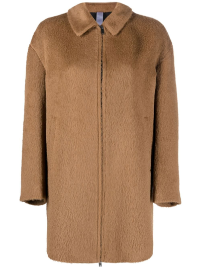 Shop Hevo Zip-up Collared Coat In Braun