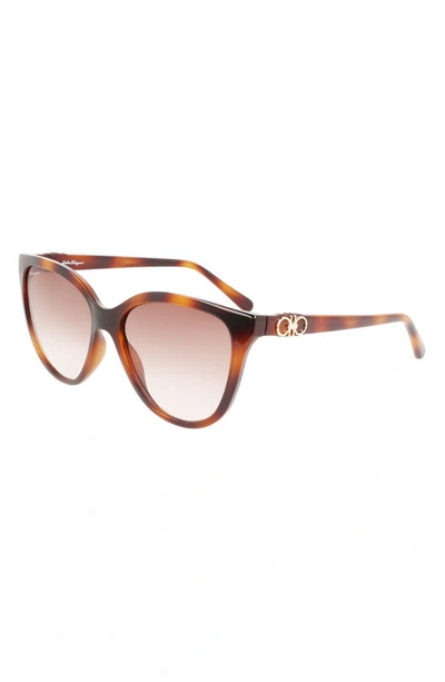 Ferragamo Gancini Injection Plastic Cat-eye Sunglasses In Tortoise