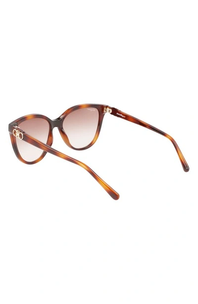 Ferragamo Gancini Injection Plastic Cat-eye Sunglasses In Tortoise