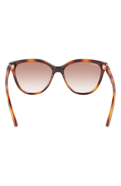 Ferragamo Gancini Injection Plastic Cat-eye Sunglasses In Tortoise