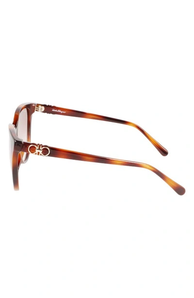 Ferragamo Gancini Injection Plastic Cat-eye Sunglasses In Tortoise