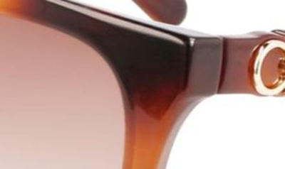 Ferragamo Gancini Injection Plastic Cat-eye Sunglasses In Tortoise