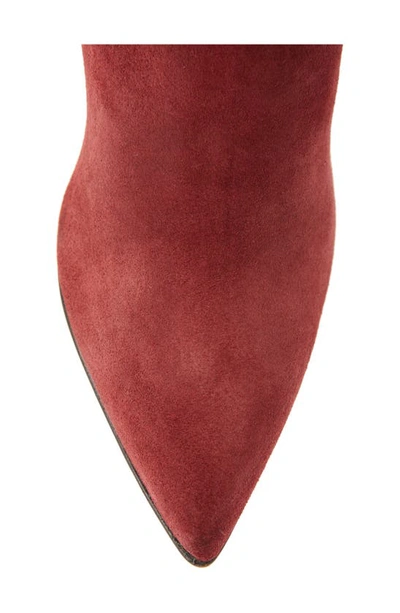 Beautiisoles Phoebe Knee High Boot In Wine Suede