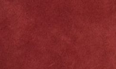Beautiisoles Phoebe Knee High Boot In Wine Suede