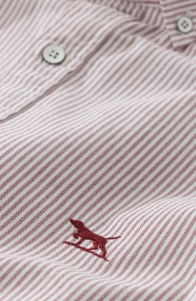 Rodd & Gunn South Island Stripe Button-up Shirt In Port