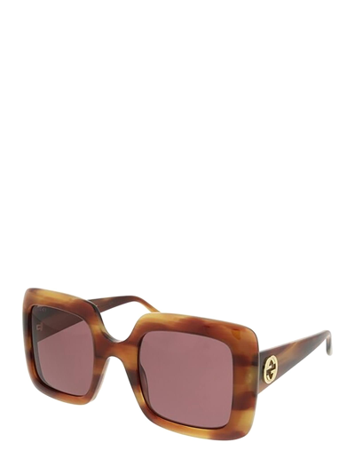 Shop Gucci Gg0896s Havana Sunglasses