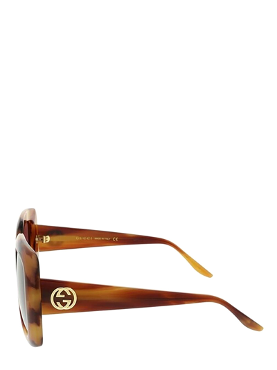 Shop Gucci Gg0896s Havana Sunglasses