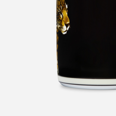 Dolce & Gabbana Porcelain Mug In Multicolor