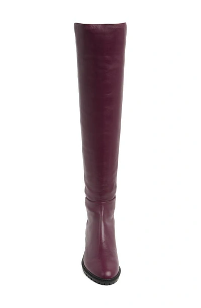 Stuart Weitzman City Over-the-knee Boot In Cranberry